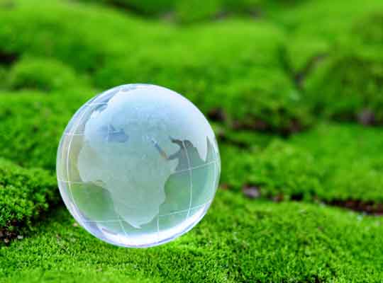 Globe